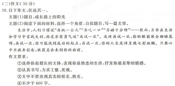 成长路上的阳光作文600字