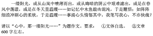 那一缕阳光作文600字