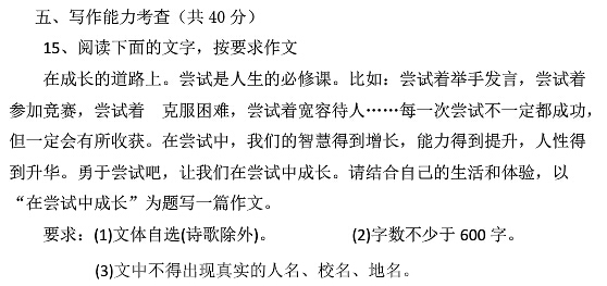 在尝试中成长作文600字