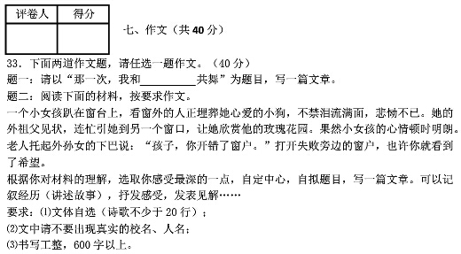 那一次作文600字