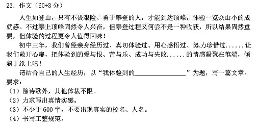 我体验到的作文600字